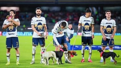 Pumas Liga MX que necesita para los Playoffs