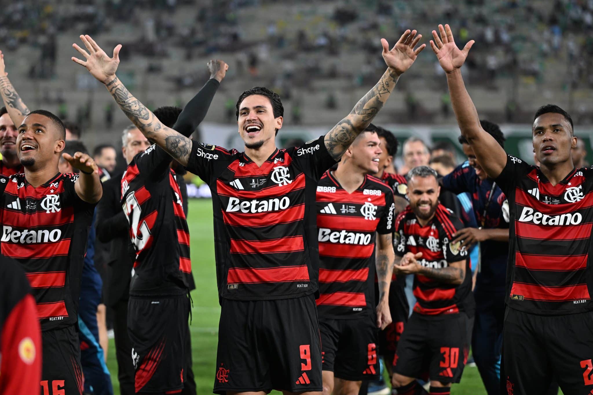 Flamengo - Brasileirao 2026