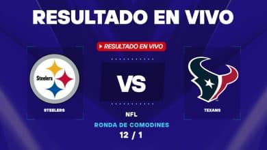 Steelers vs Texans: resultado EN VIVO y estadísticas de la NFL