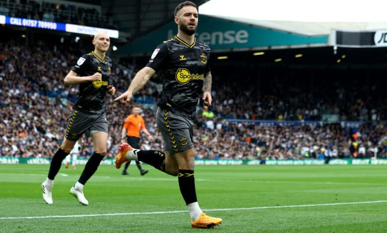 Southampton's Adam Armstrong likes a goal against Leeds - he'll want another in the Championship Playoff Final