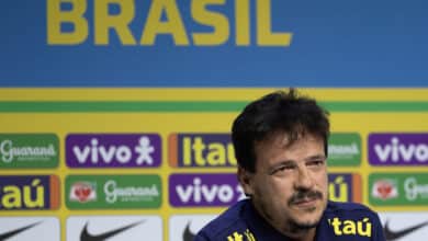 Fernando Diniz, Seleção