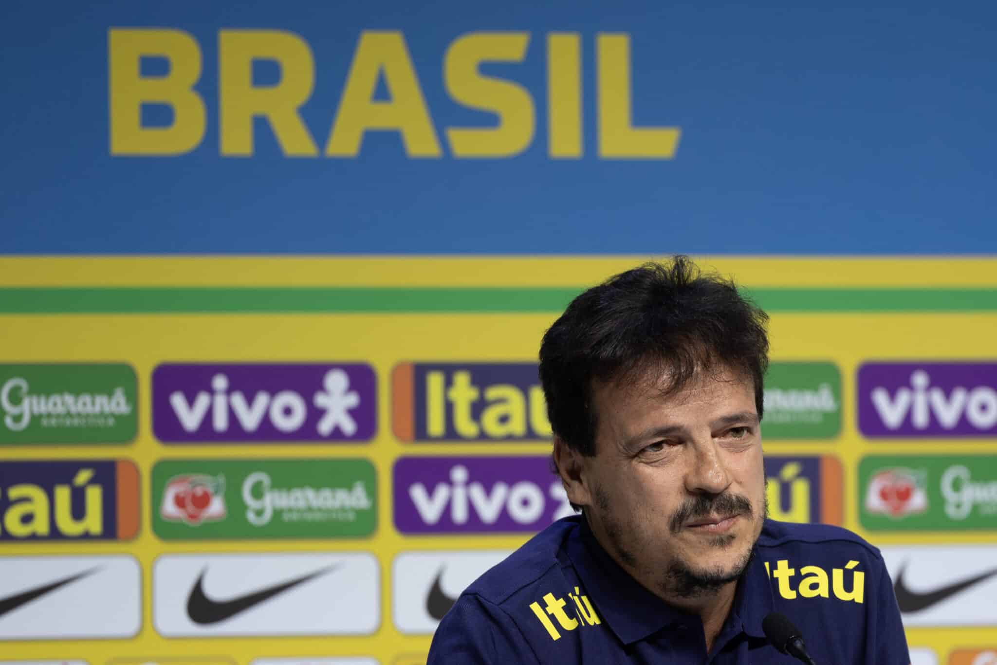 Fernando Diniz, Seleção