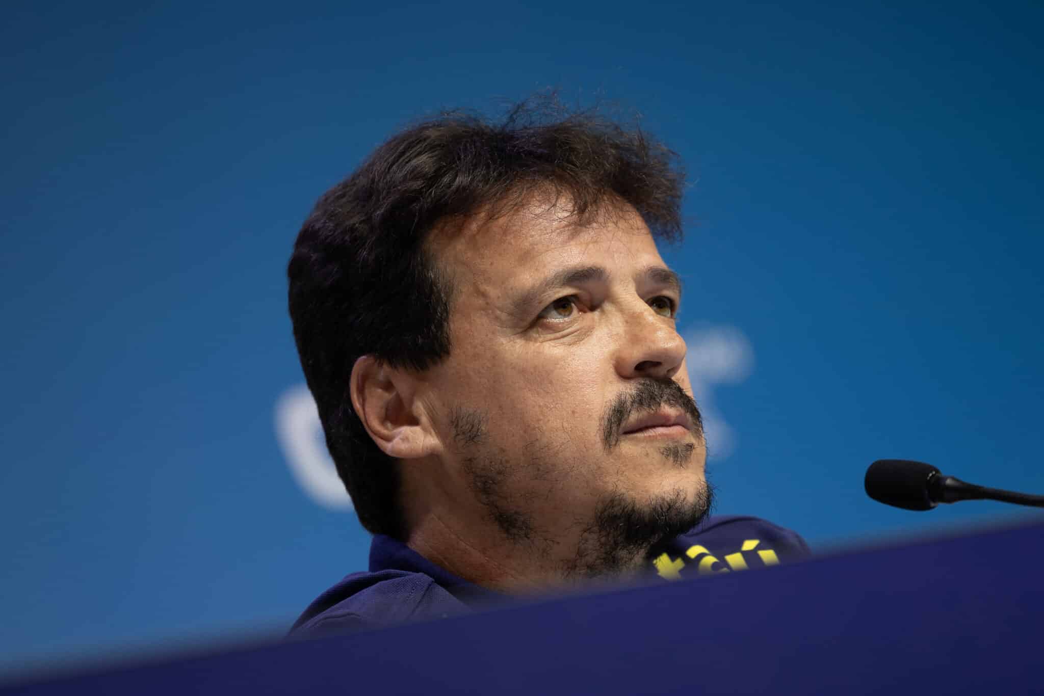 Fernando Diniz, Seleção