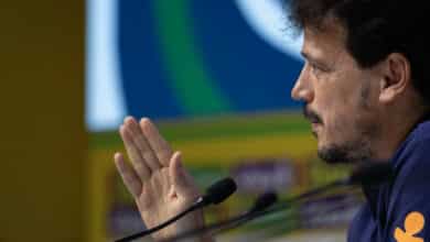 Fernando Diniz, Seleção