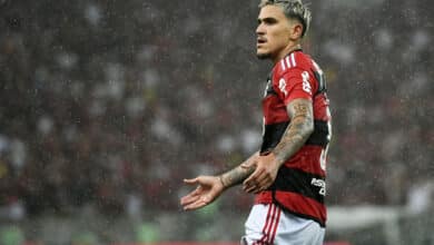 Pedro Flamengo