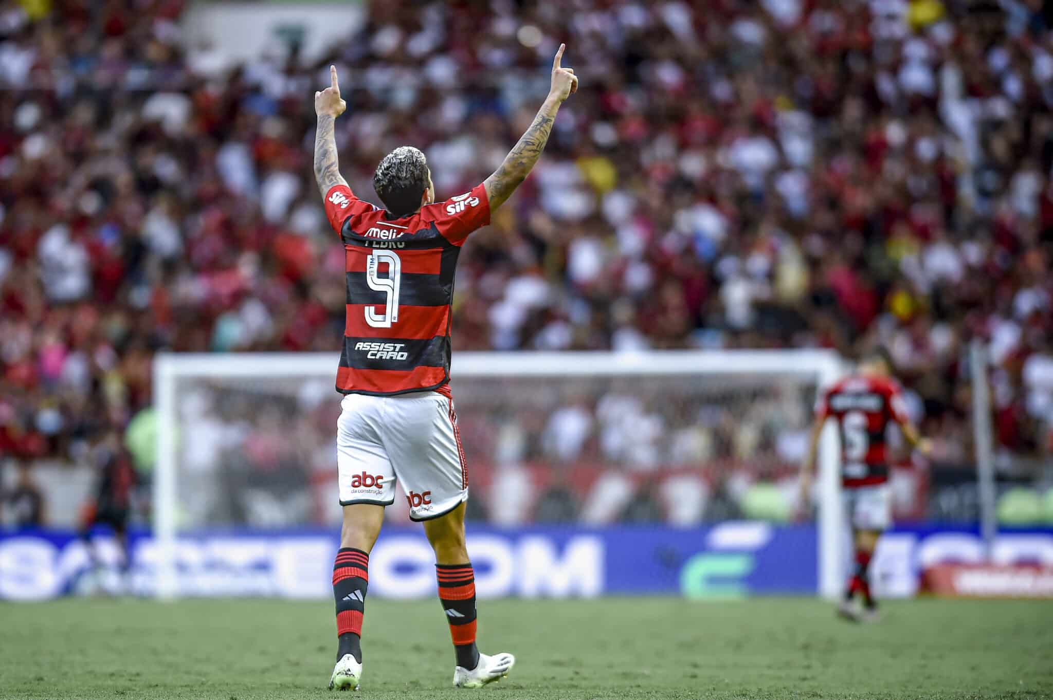 Pedro, Flamengo