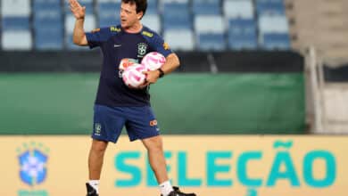 Fernand Diniz na Seleção