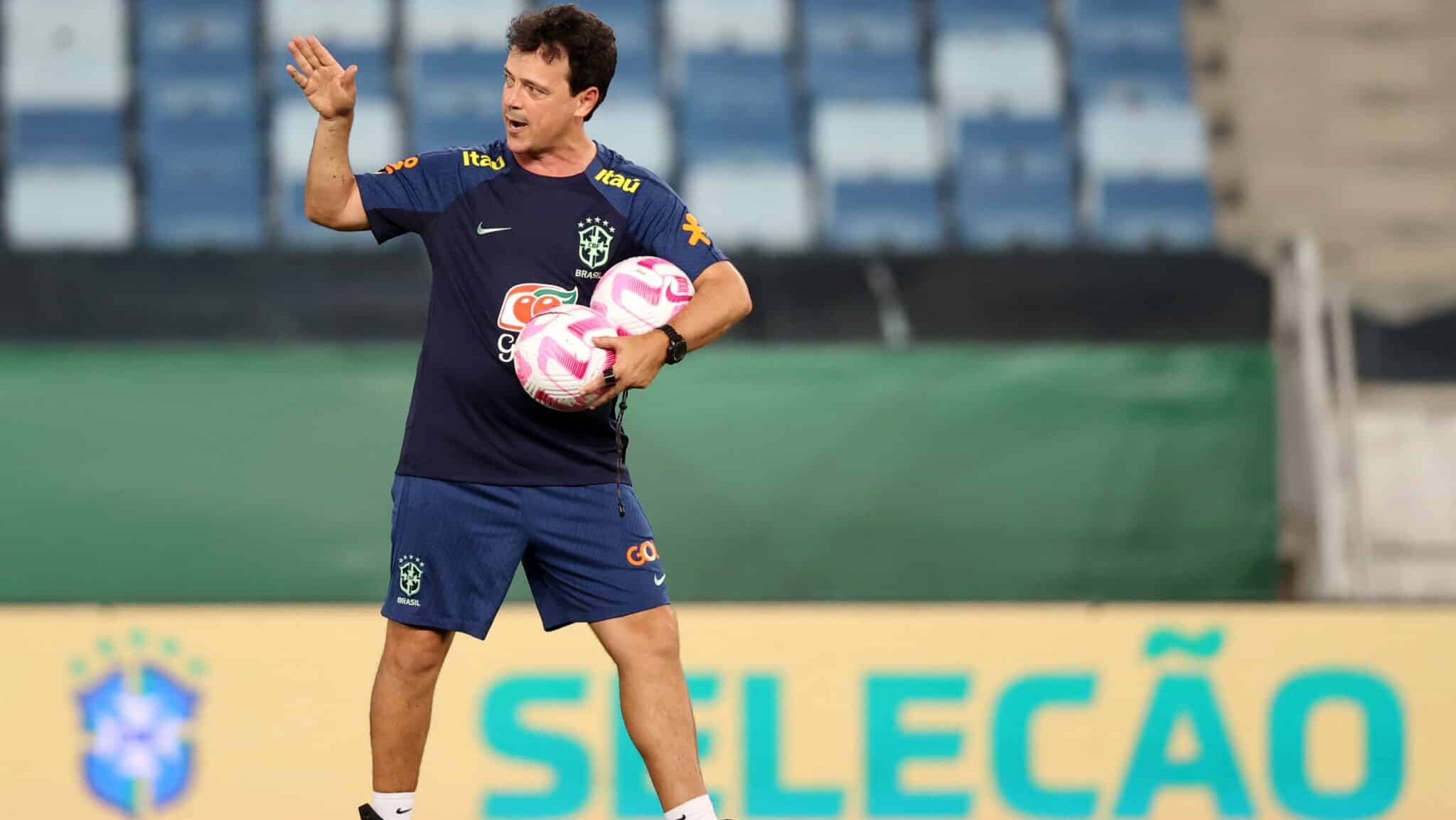 Fernand Diniz na Seleção