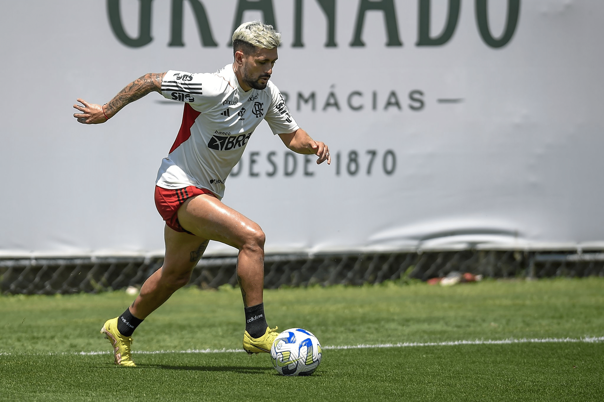 Ao vivo 🔴 Corinthians x Fortaleza  Semifinal Copa Sul-Americana 2023 