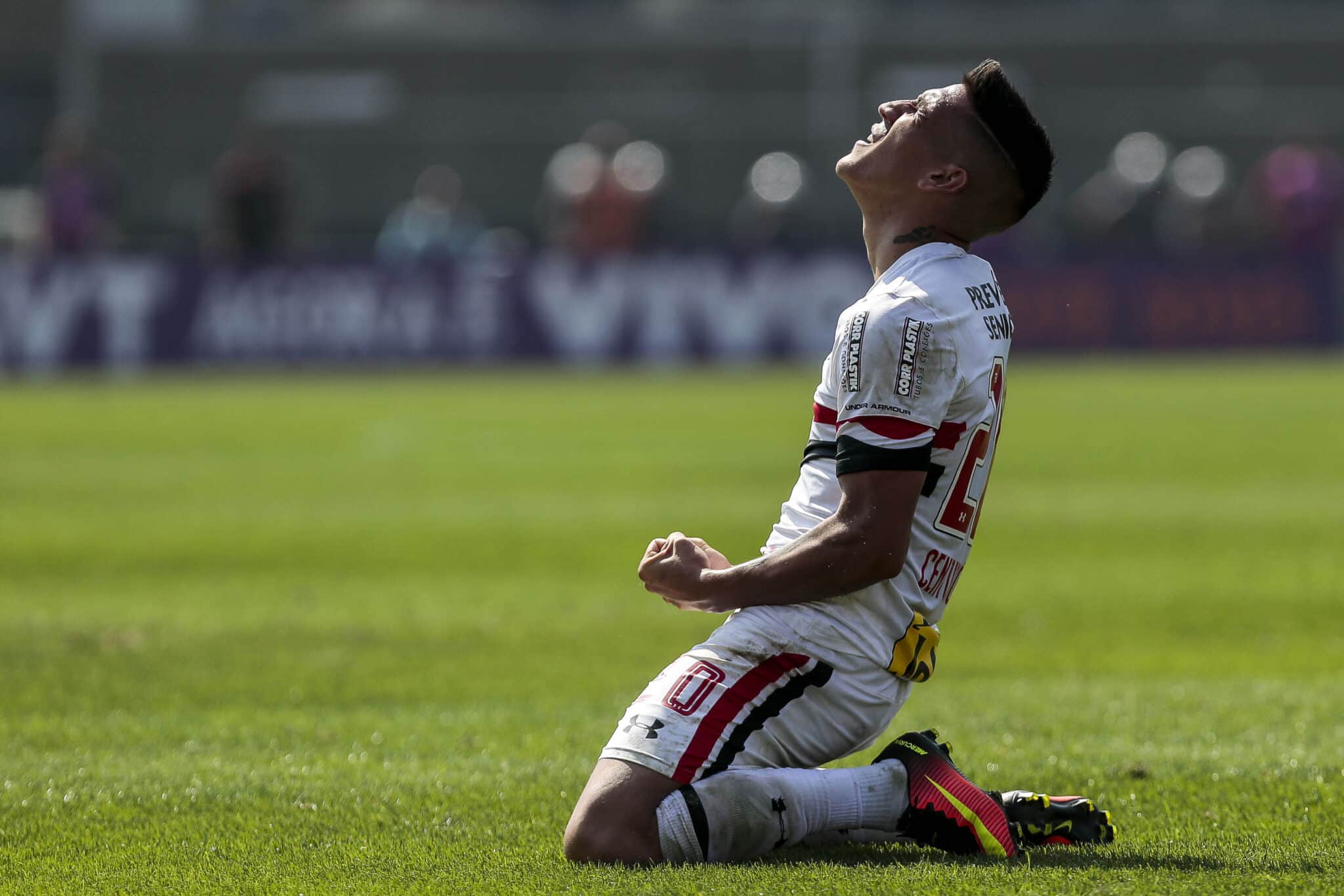 SAO PAULO - SP - 31/7/16 - BRASILEIRO 2016/SAO PAULO X CHAPECOENSE - Centurion do Sao Paulo durante partida do Campeonato Brasileiro no Estadio do Morumbi. Foto: Ale Cabral/AGIF