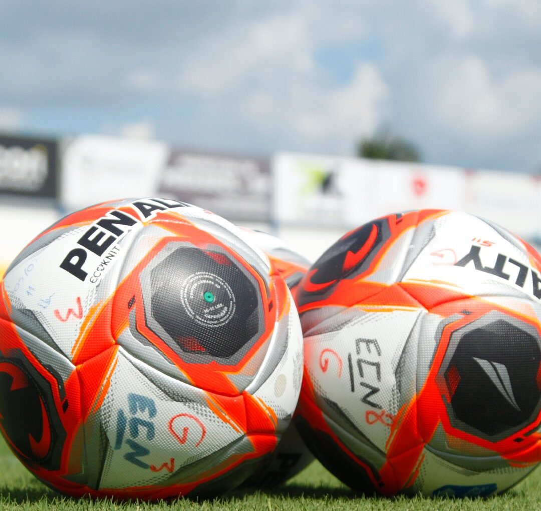 Bola do Paulistão/Campeonato Paulista