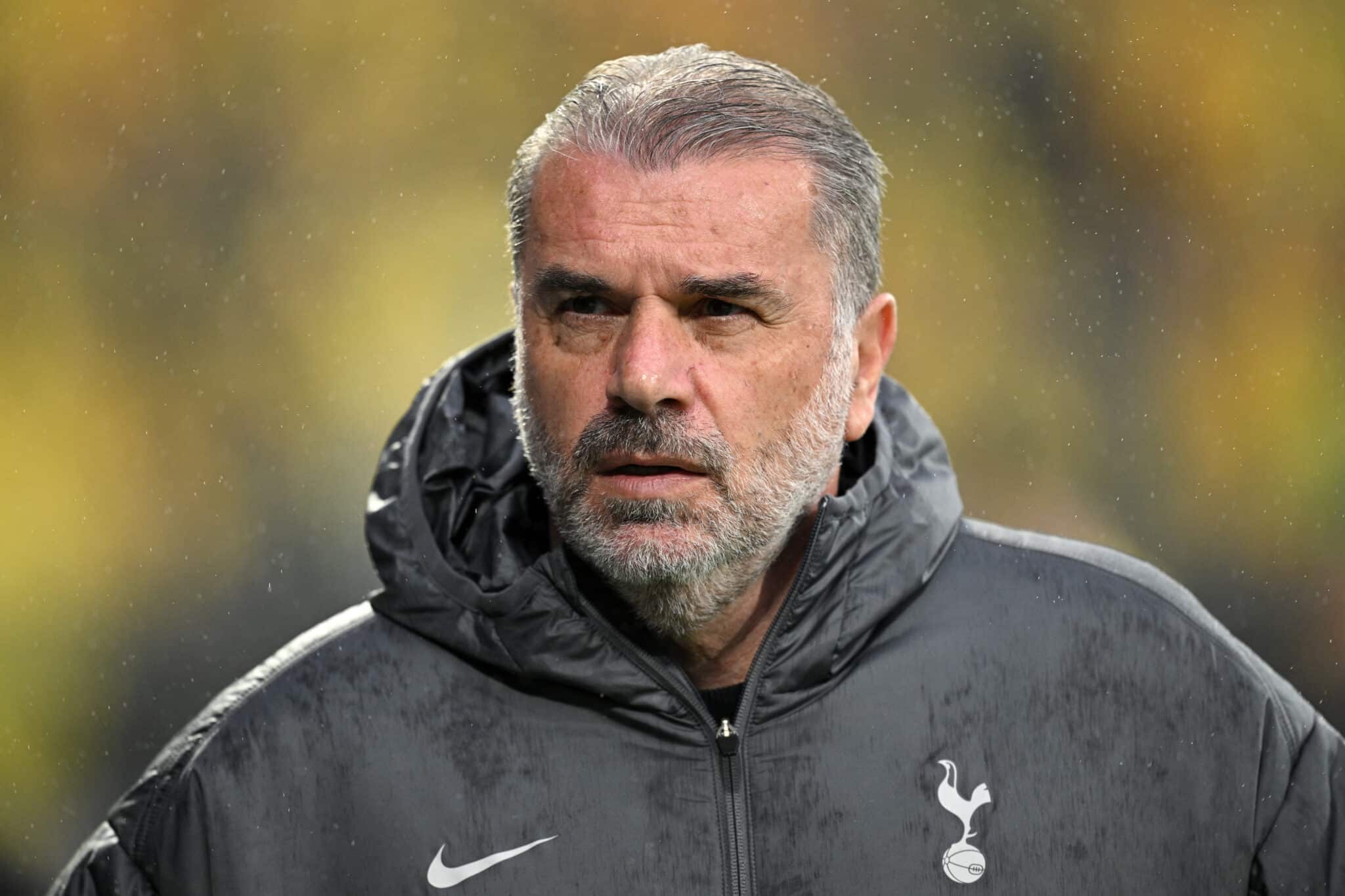 Angelos Postecoglou, técnico do Tottenham