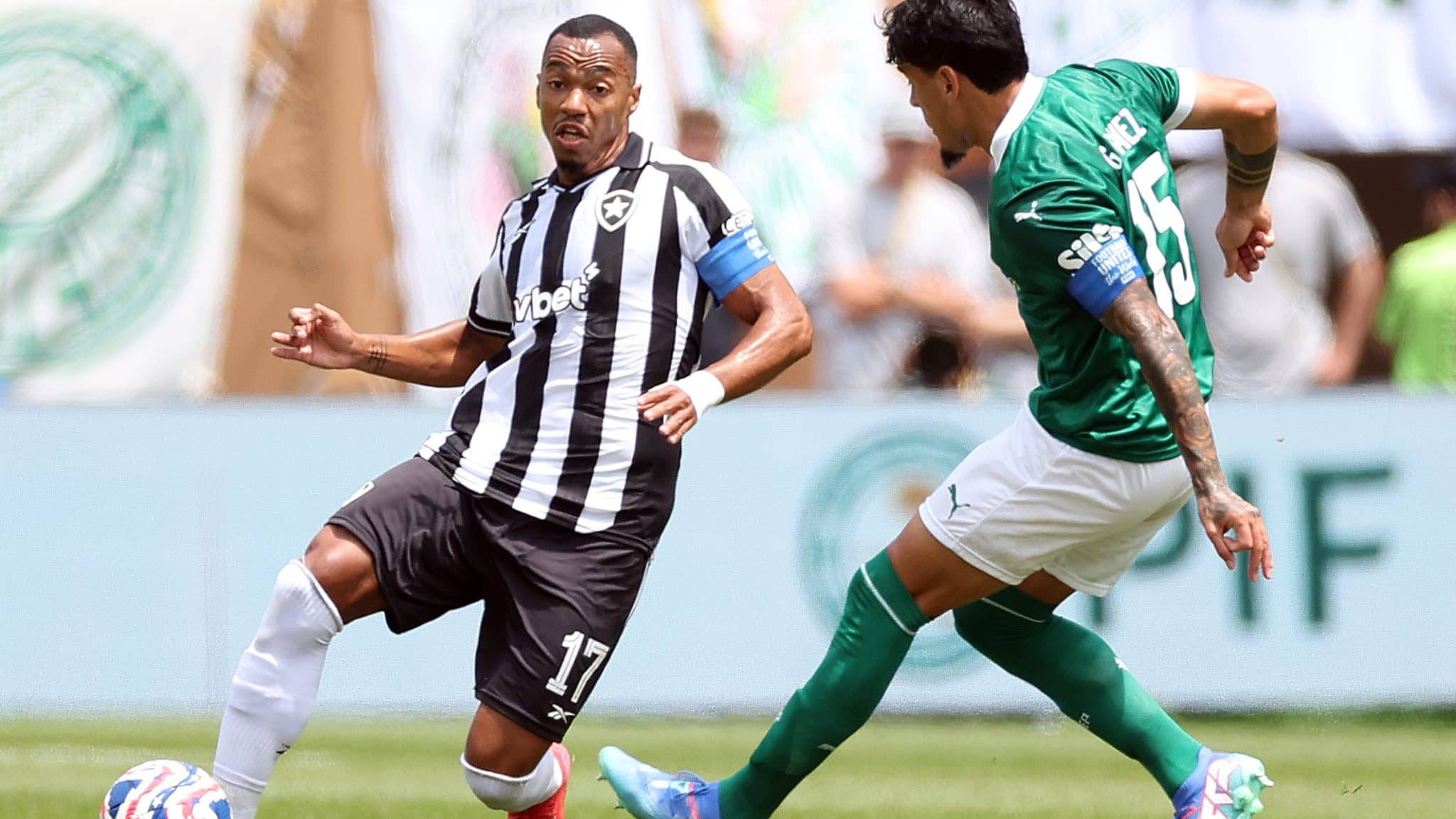 Marlon Freitas e Gustavo Gómez em Botafogo x Palmeiras