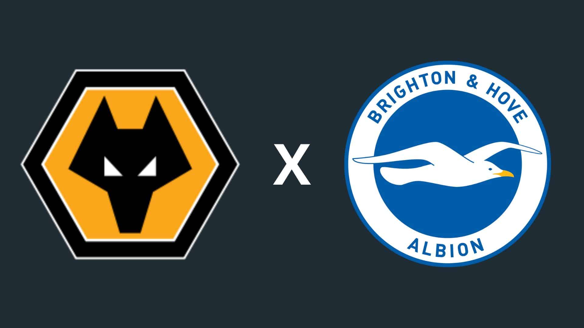 Wolverhampton x Brighton