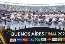 botafogo campeão libertadores 2024