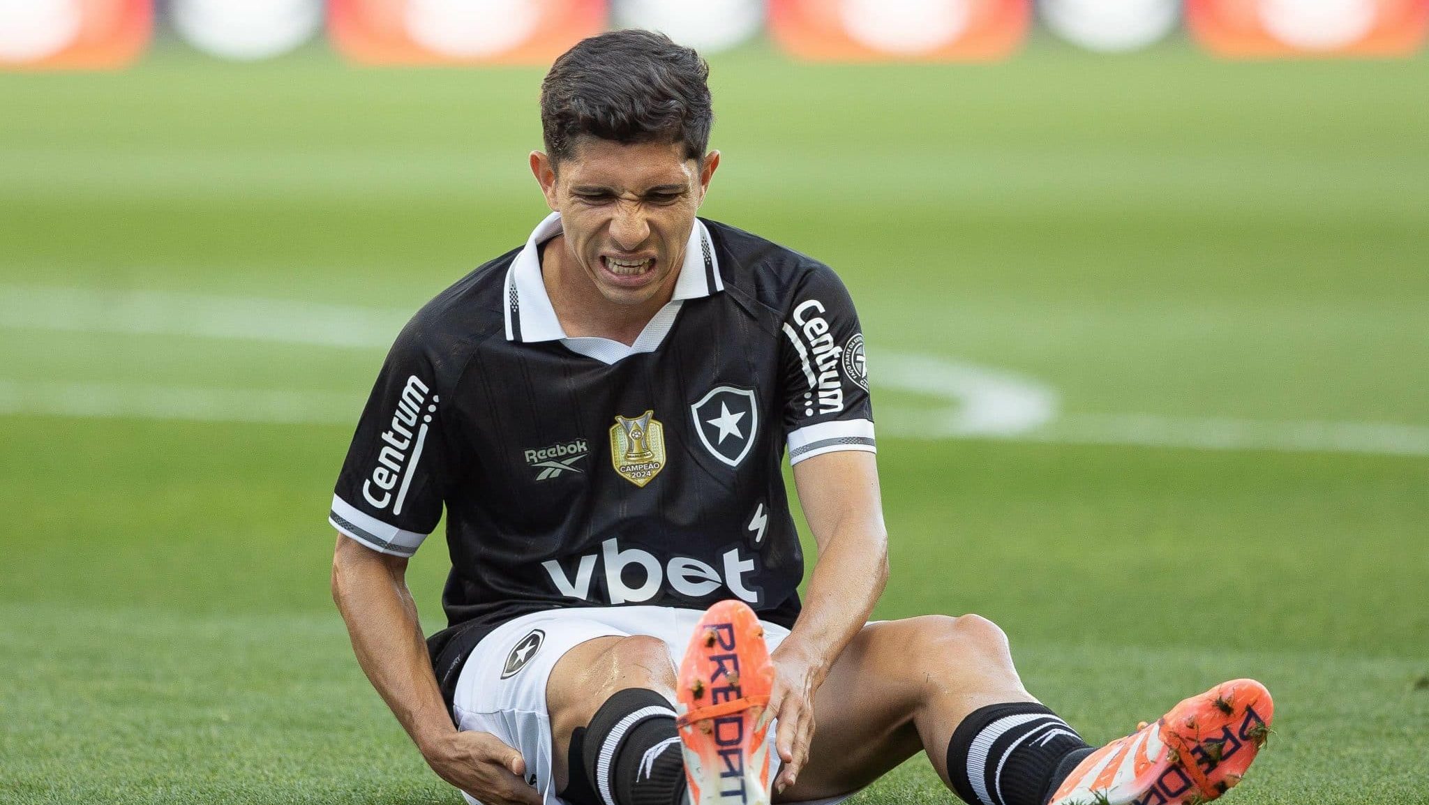 savarino botafogo