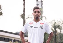 gabriel menino santos