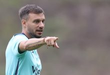 martin anselmi botafogo