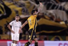 Novorizontino x Palmeiras