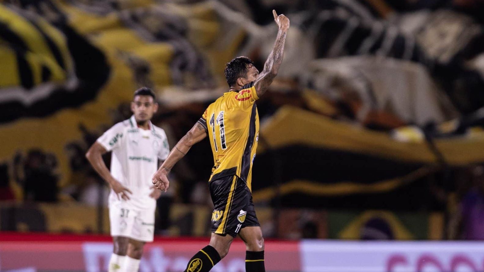 Novorizontino x Palmeiras