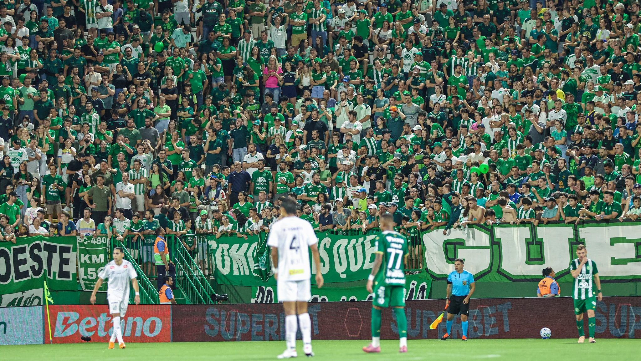 Arena Condá teve casa cheia para Chapecoense x Santos